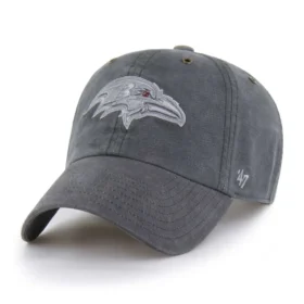 Baltimore Ravens '47 Boyalı Temizleme
