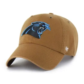 Carolina Panthers '47 Temizliği
