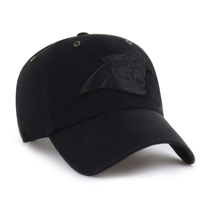 Carolina Panthers '47 Temizliği