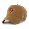 Chicago Bears '47 Temizliği