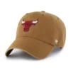 Chicago Bulls '47 Temizliği