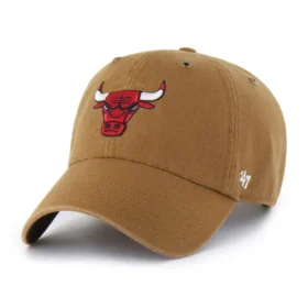 Chicago Bulls '47 Temizliği
