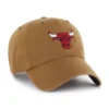 Chicago Bulls '47 Temizliği