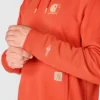 Erkek Force Nem Emici Logolu Kapüşonlu Sweatshirt