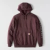Erkek Geniş Kesim Orta Ağırlık Logo Desenli Kapüşonlu Sweatshirt - Rain Defender Kapüşonlu sweatshirtler