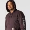 Erkek Geniş Kesim Orta Ağırlık Logo Desenli Kapüşonlu Sweatshirt - Rain Defender Kapüşonlu sweatshirtler