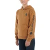 Erkek Çocuk Uzun Kolluklu Desenli Sweatshirt (Bebek/Çocuk/Genç)