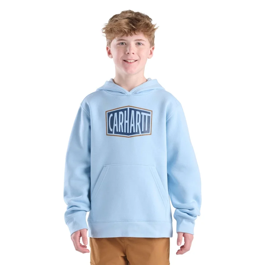 Erkek Çocuk Uzun Kolluklu Desenli Sweatshirt (Bebek/Çocuk/Genç)