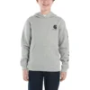 Erkek Çocuk Uzun Kolluklu Desenli Sweatshirt (Bebek/Çocuk/Genç)
