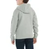 Erkek Çocuk Uzun Kolluklu Desenli Sweatshirt (Bebek/Çocuk/Genç)