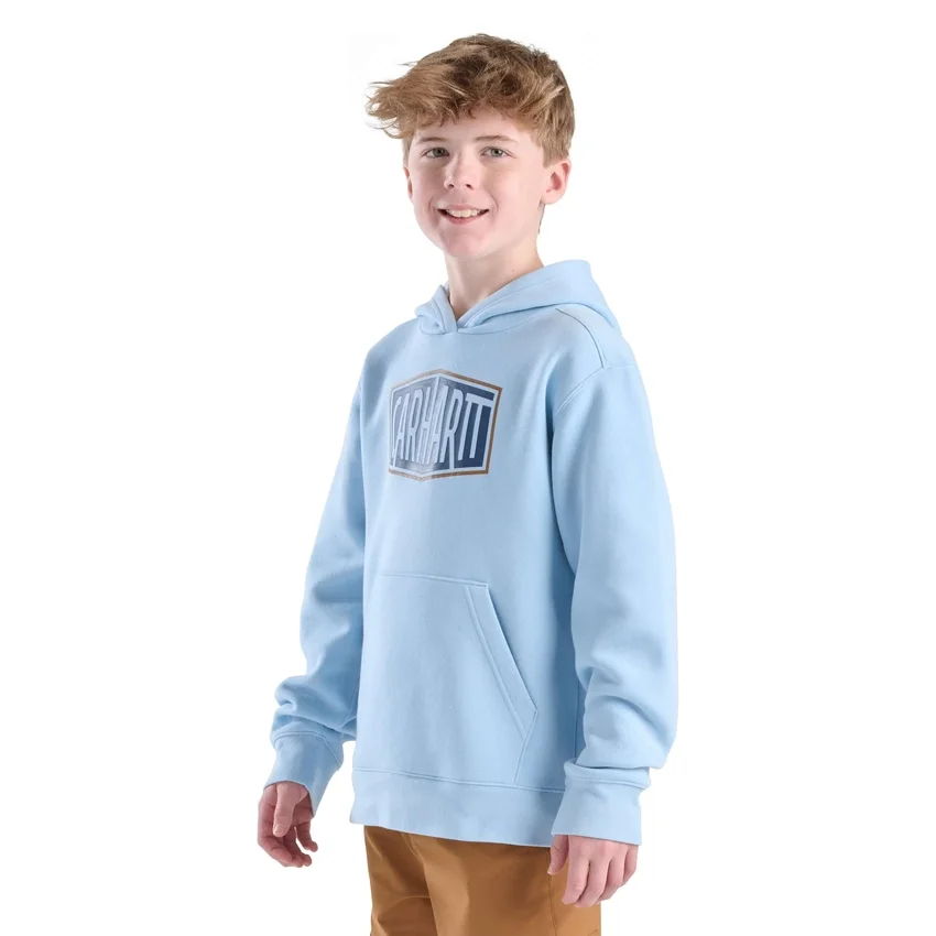 Erkek Çocuk Uzun Kolluklu Desenli Sweatshirt (Bebek/Çocuk/Genç)