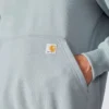 Erkek Paxton Su İtici Ağır Çekirdekli Çeyrek Fermuarlı Kapüşonlu Sweatshirt - carhartt Rain Defender Kapüşonlu sweatshirtler