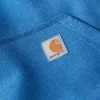 Erkek Paxton Su İtici Ağır Kapüşonlu Sweatshirt - carhartt Rain Defender Kapüşonlu sweatshirtler