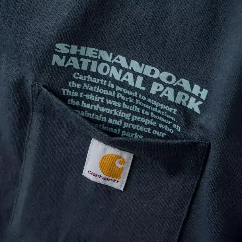 Erkek Shenandoah Ulusal Parkı Grafik Gömlek