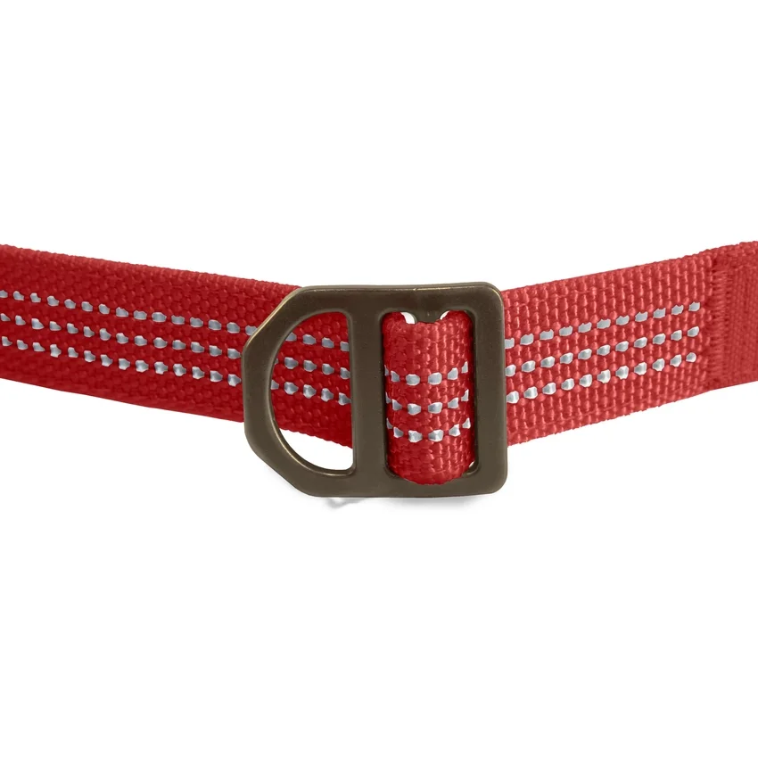 Field Köpek Tasması