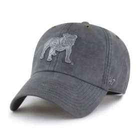 Georgia Bulldogs '47 Boyalı Temizleme