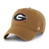 Georgia Bulldogs '47 Temizliği
