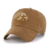 Iowa Hawkeyes '47 Boyalı Temizleme