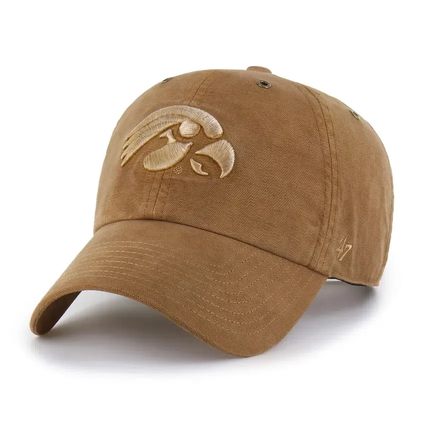 Iowa Hawkeyes '47 Boyalı Temizleme