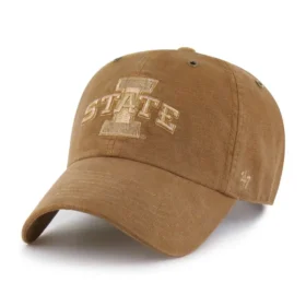 Iowa State Cyclones '47 Boyalı Clean Up