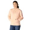 Kadın Sawyer Script Logo Kolluklu Kapüşonlu Sweatshirt