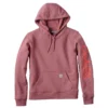 Kadın Sawyer Script Logo Kolluklu Kapüşonlu Sweatshirt