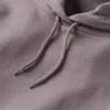 Kadın Sawyer Script Logo Kolluklu Kapüşonlu Sweatshirt