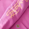 Kadın Sawyer Script Logo Kolluklu Kapüşonlu Sweatshirt