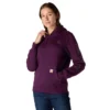 Kadınlar İçin İkonik Clarksburg Gevşek Kesim Polar Astarlı Logolu Kapüşonlu Sweatshirt