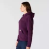 Kadınlar İçin İkonik Clarksburg Gevşek Kesim Polar Astarlı Logolu Kapüşonlu Sweatshirt