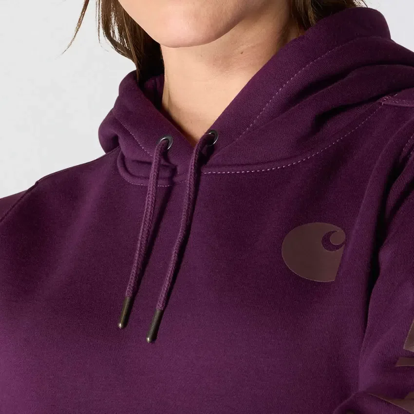 Kadınlar İçin İkonik Clarksburg Gevşek Kesim Polar Astarlı Logolu Kapüşonlu Sweatshirt