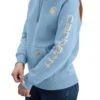 Kadınlar İçin İkonik Clarksburg Gevşek Kesim Polar Astarlı Logolu Kapüşonlu Sweatshirt