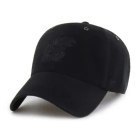 Kansas Jayhawks '47 Temizliği