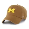 Michigan Wolverines '47 Temizliği