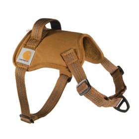 Naylon Duck No Pull Köpek Tasması