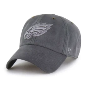 Philadelphia Eagles '47 Boyalı Temizleme