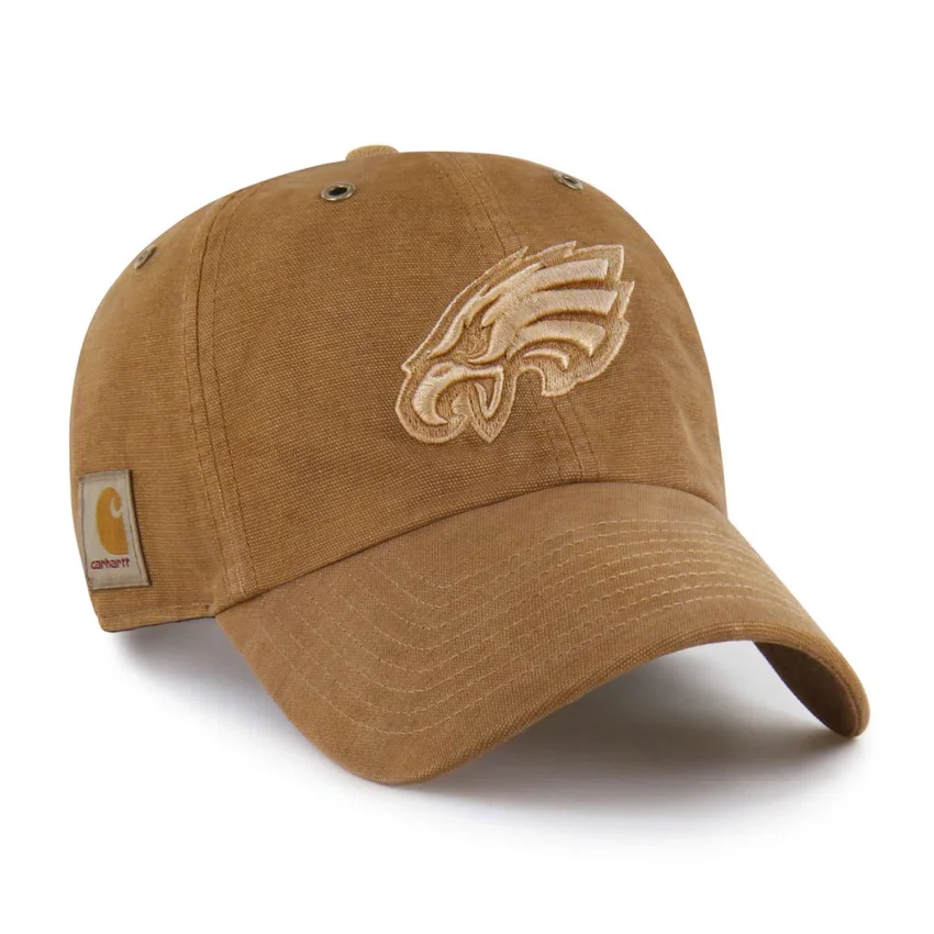 Philadelphia Eagles '47 Boyalı Temizleme