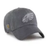Philadelphia Eagles '47 Boyalı Temizleme