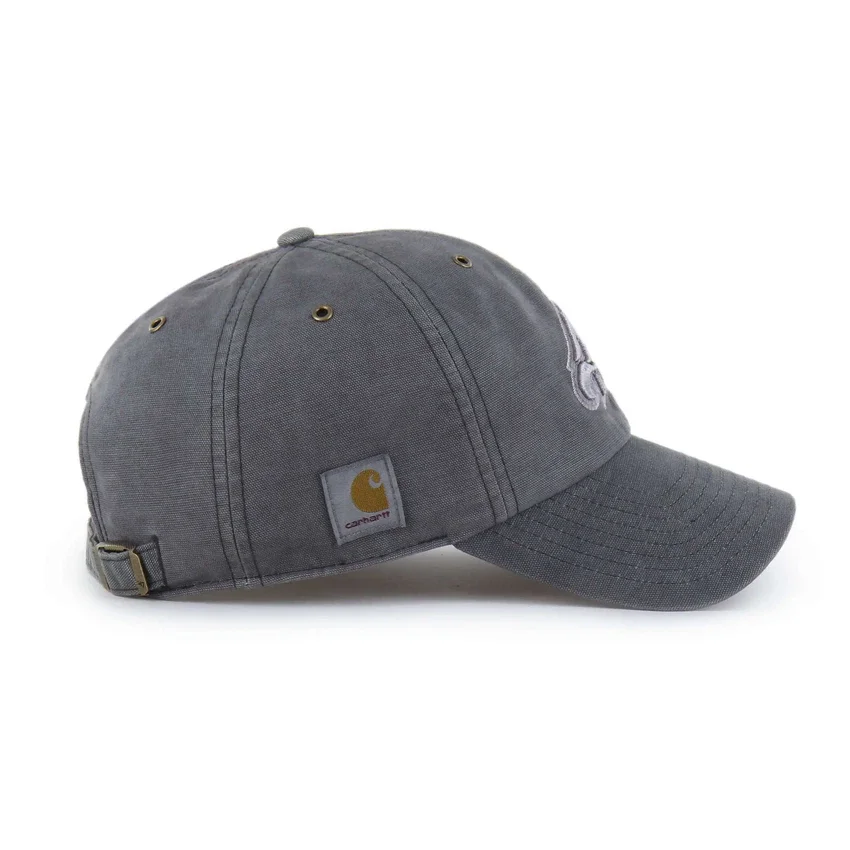 Philadelphia Eagles '47 Boyalı Temizleme