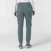 Rugged Flex Fld Kadın Ripstop Jogger Scrub Pantolon