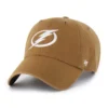 Tampa Bay Lightning '47 Temizliği