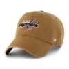 Washington Capitals '47 Temizliği